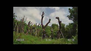 Foxeer Cat 2 Mini/Micro FPV Cam Cloudy Day Footage for reference