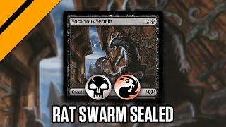 Rakdos Rat Swarm - Sealed | Wilds of Eldraine MTG Arena