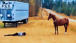 Horse Saw His Owner Fall and Immediately Did This