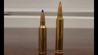 300 WSM vs 300 Winchester Mag