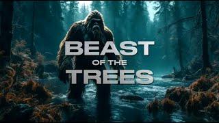 “Beast of the Trees” | 2024 New Bigfoot Video (Sasquatch Cinematic Presentation)