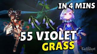 55 Violet Grass in 4 mins [Fast Farming Route] - [Qiqi & Xinyan Ascension Material]