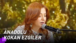 Mercan Erzincan - Sivas'tan Çıktı | Kuzeyin Oğlu Volkan Konak 2. Bölüm