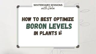 How to Best Optimize Boron Levels in Plants