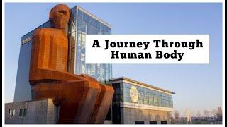 How The Body Works | A Journey Through Human Body at Corpus Museum Netherlands | Agent Knowledge