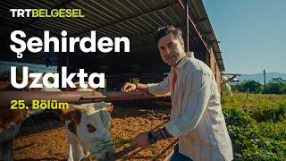 Şehirden Uzakta | Muğla - Köyceğiz | TRT Belgesel