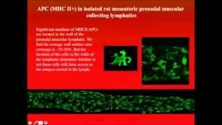 Relationship between Lymphatic Dysfunction and Inflammation