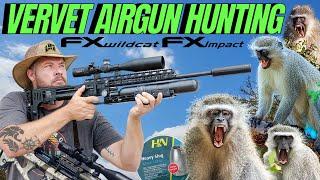 VERVET MONKEY AIR GUN HUNTING I FX IMPACT M3 AIR GUN HUNTING I GREY MENACE AIR GUN HUNTING