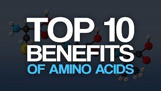 Top 10 Benefits of Amino Acids