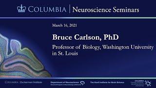 Bruce Carlson - Neural mechanisms of evolutionary change in sensory perception