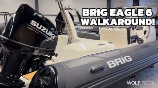 BRIG EAGLE 6 WALKAROUND - CUSTOM COLOUR!