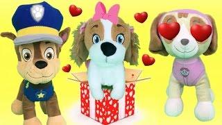 Patrulla canina juguetes español CHASE REGALO SORPRESA PAW PATROL: NUEVO BEBE CACHORRO PARA SKYE