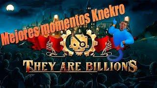 Knekro, día 3 | They are billions