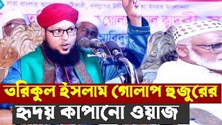 মুফতি তরিকুল ইসলাম গোলাপ waz mahfil Mufti Tariqul Islam Golap bangla waz   History Of Islam muslim