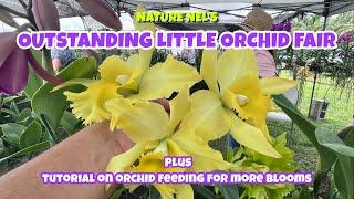 Summer orchid fair! Meeting vendors learning great tips. Bonus how-to feed orchids for more blooms.