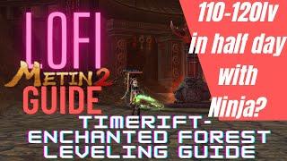 No BS leveling guide (110 - 120): Time Rift Enchanted Forest Ninja