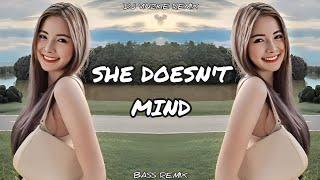 She Doesn't Mind ( Viral TikTok Remix ) / Dj Vinzkie Remix