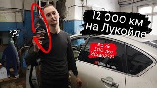 Лукойл GENESIS 5w40 на мощном моторе//СПУСТЯ 12 000 км...