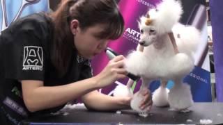 ARTERO Continental Poodle Clip Tutorial