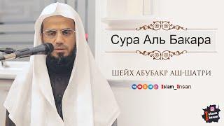 Абу Бакр Аш Шатри Сура Аль Бакара #2  Abu Baker Al Shatiri  Al-Baqarah