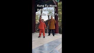 Kung Fu Monk Performing ｜Shaolin Kung Fu