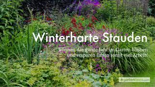 15 winterharte Stauden - inklusive Pflanz- und Pflegetipps