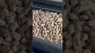 Bearmountain pellets! #bbq #grill #food #foodie #chicken #trumpetmaster77 