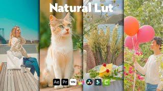 Natural Lut Free Download | Natural Lut Video Editing  | VN Video Editor | VN Editor | Free Luts