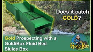 Gold Prospecting with the GoldiBox | Fluid Bed Sluice Boxes work Best for Fine GOLD Recovery