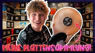 Meine VINYL PLATTEN Sammlung | Marius Angeschrien Twitch Story