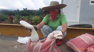 REVIEW BANTAL GULING KAPUK HASIL MULUNG SELAMA BULAN PUASA DI TPA RANDUAGUNG