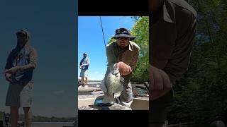 Fishing Rocky Fork Lake #crappie #shorts