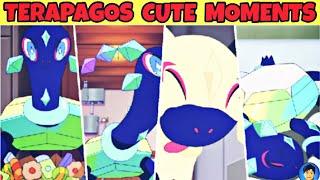 Terapagos cute moment | Pokemon Horizons | Eposide 26 |