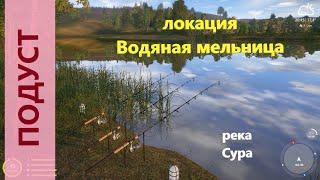 Русская рыбалка 4 - река Сура - Подуст у буйков