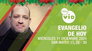 El evangelio de hoy  Miércoles 11 Diciembre de 2024  #LectioDivina #TeleVID