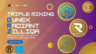 Dynex (DNX) Radiant (RXD) and Zilliqa (ZIL) Triple Mining Tutorial