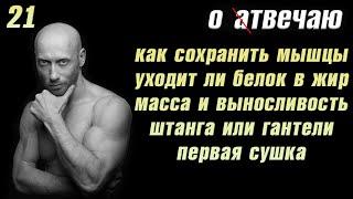 Отвечаю (21): Как не стопить мышцы на сушке, масса и выносливость, штанга или гантели