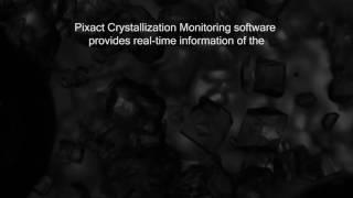 Pixact Crystallization Analysis Software