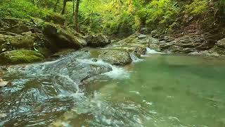 Relaxing-nature sounds-study-sleep-meditation-water sounds-bird songs