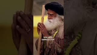 Sow the Seed of Love Within You | Hold Others More Significant Than You | Sadhguru | Life INSIGHTS