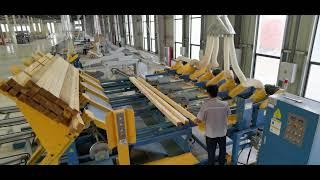 SF8005 multi head trimming sorting stacking line