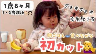 初！ヘアカット‍️クレームの多いお客さん化した1歳児ママ。しかも、失敗する