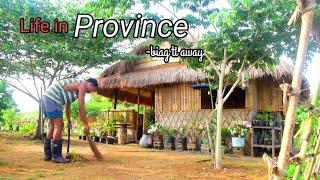 Daily routine in the farm | Cleaning, planting, harvesting, cooking | Biag ti Away by Balong
