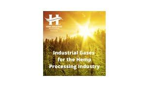 Industrial Gases for the Processing Industry