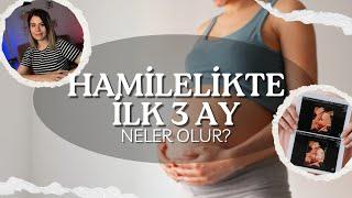 Gebelikte İlk 3Ay Dikkat Etmemiz Gerekenler