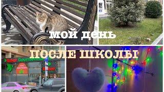 МОЙ ДЕНЬ ПОСЛЕ ШКОЛЫ / MY DAY AFTER SCHOOL