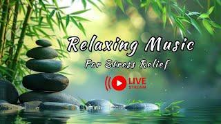 Relaxing Music 24/7, Stress Relief Music, Sleep Music, Meditation Music, Study, Calming Music