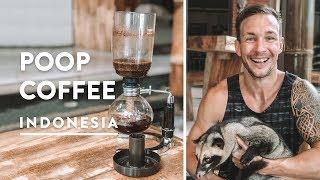 POOP COFFEE UBUD LUWAK KOPI | Civet Cat Bali | Indonesia Vlog 137, 2018