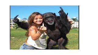 Funny Monkeys Doing Stupid Things | Funniest Animals Videos 2019