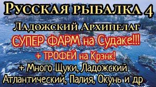 РР4. Ладожский Архипелаг. ФАРМ на СУДАКЕ! и Трофей. Где ловить Лосось Атлантический, Щука, Палия